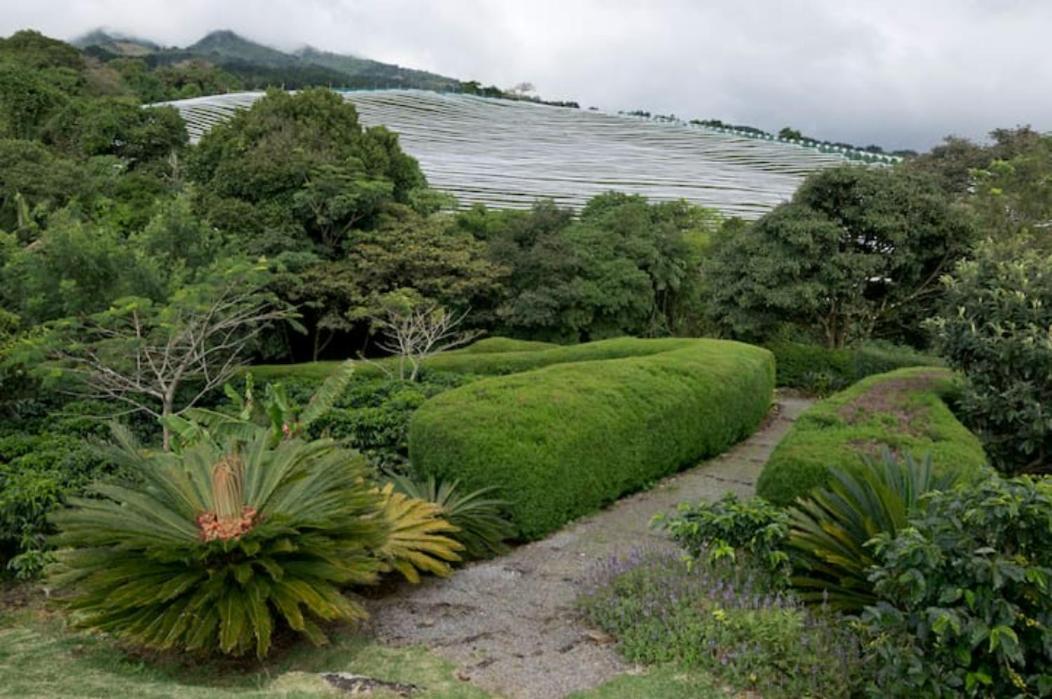 Coffee Garden Ranch Costa Rica Apartman Concepcion  Kültér fotó