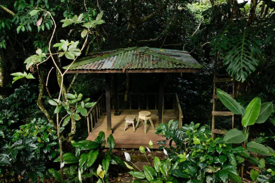 Coffee Garden Ranch Costa Rica Apartman Concepcion  Kültér fotó